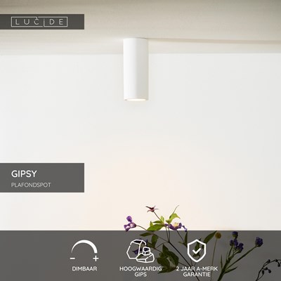 Lucide GIPSY - Plafondspot - Ø 7 cm - 1xGU10 - Wit